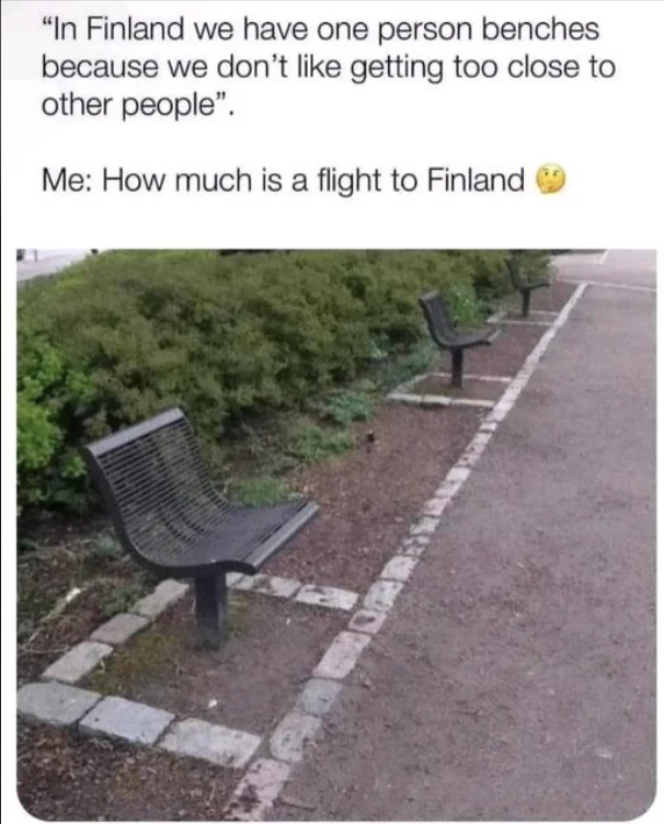 tree - "In Finland we have one person benches because we don't getting too close to other people". Me How much is a flight to Finland